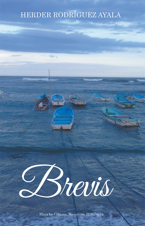 Cover image for book Brevis
