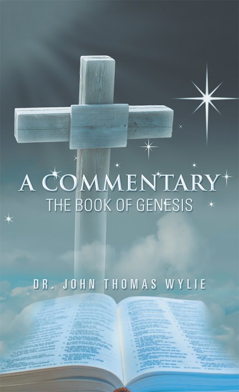 Cover image for book A Commentary