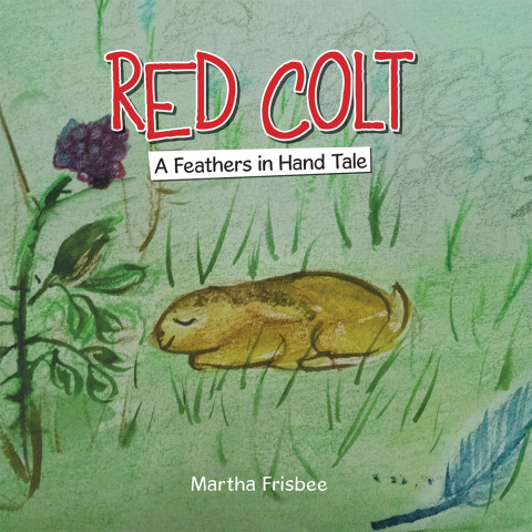 Cover image for book Red Colt