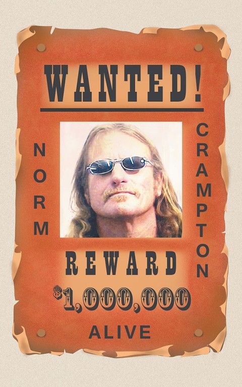 Cover image for book Wanted!