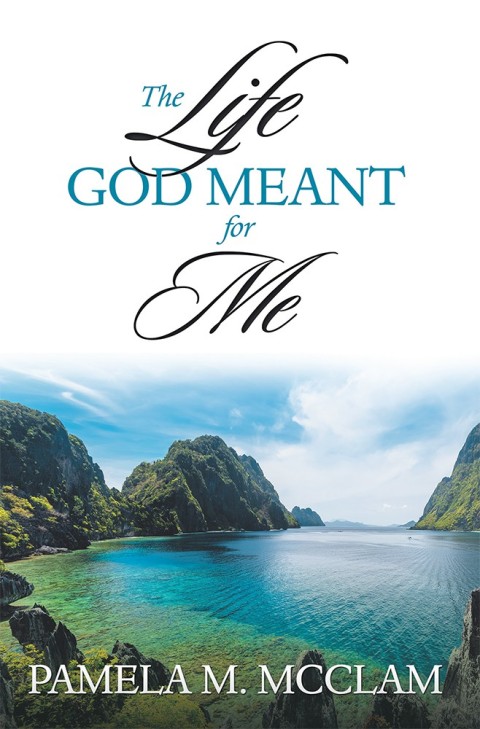Cover image for book The Life God Meant for Me