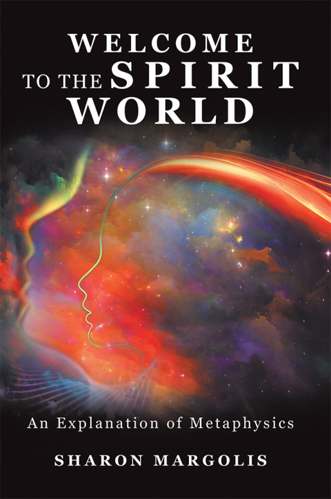 Cover image for book Welcome to the Spirit World