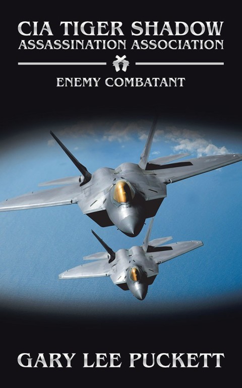 Cover image for book Enemy Combatant