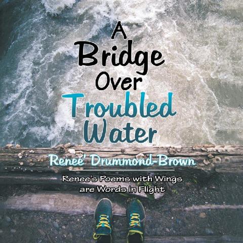 Cover image for book A Bridge over Troubled Water