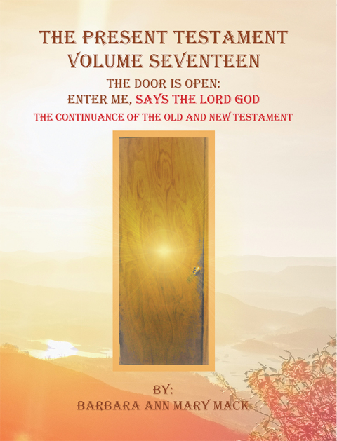 Cover image for book The Present Testament Volume Seventeen