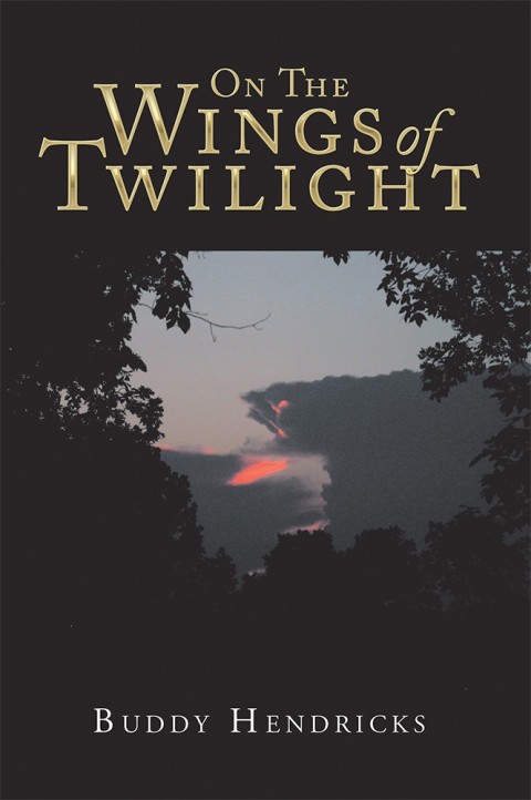 Cover image for book On the Wings of Twilight