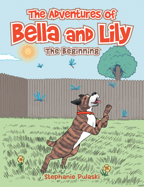 Cover image for book The Adventures of Bella and Lily