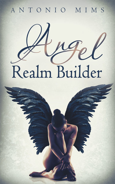 Cover image for book Angel Realm Builder