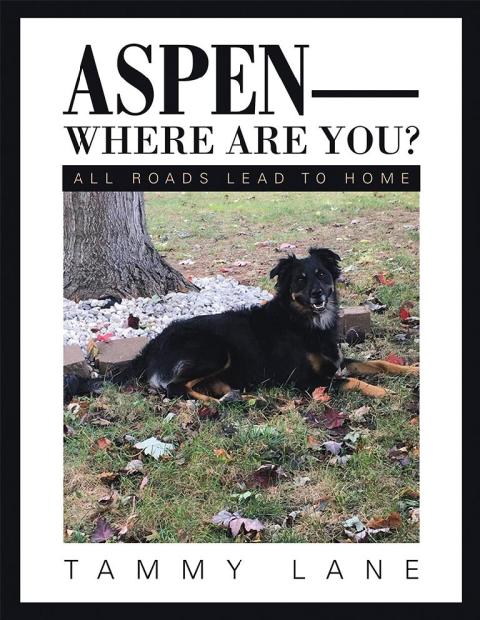 Cover image for book Aspen—Where Are You?