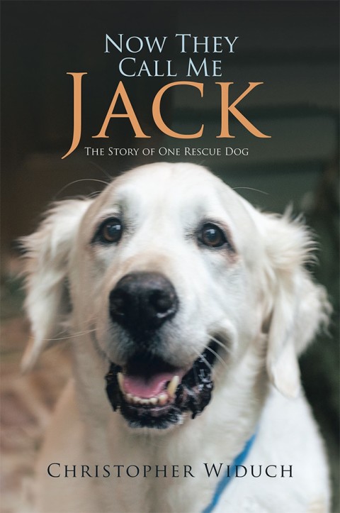 Cover image for book Now They Call Me Jack