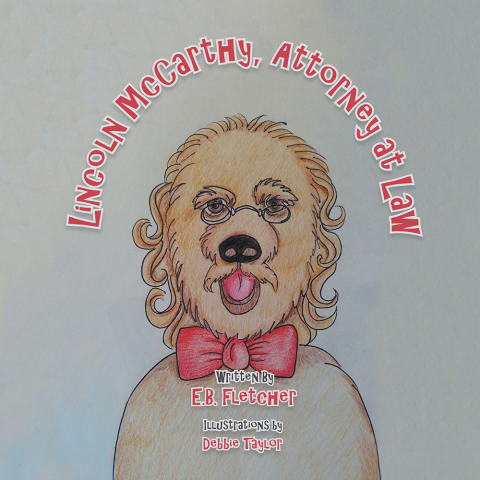 Cover image for book Lincoln Mccarthy, Attorney at Law