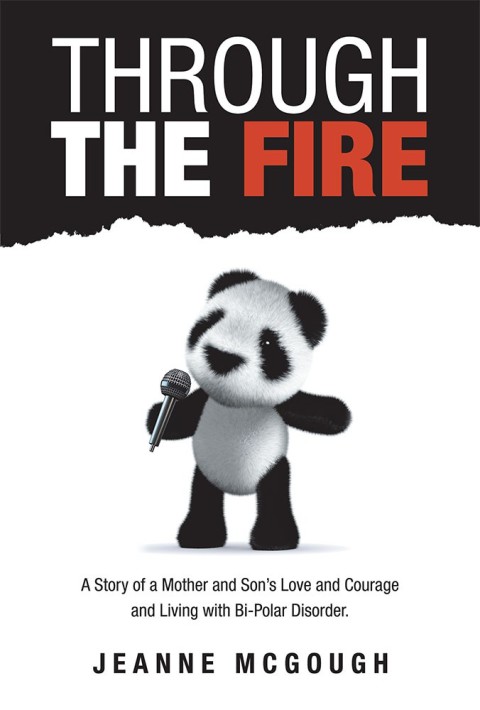 Cover image for book Through the Fire
