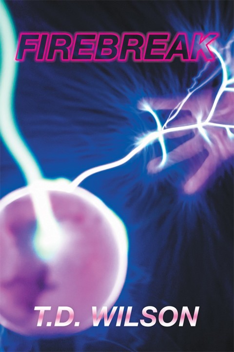Cover image for book Firebreak