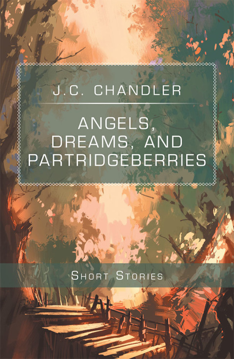 Cover image for book Angels, Dreams, and Partridgeberries