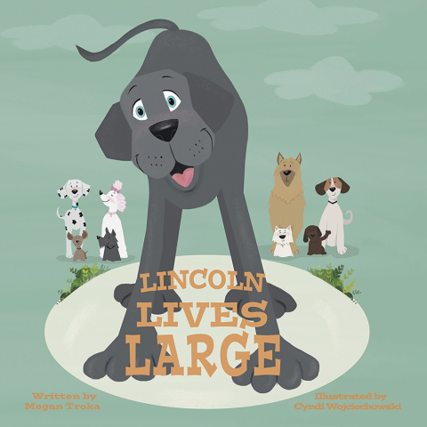 Cover image for book Lincoln Lives Large