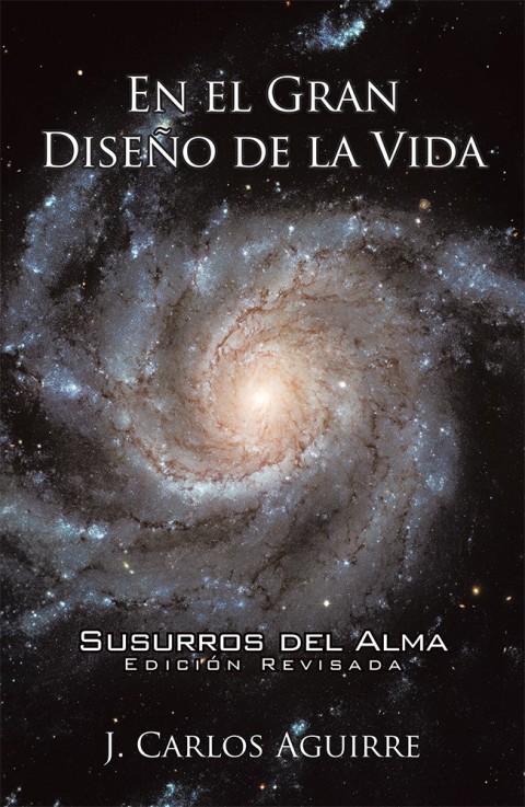 Cover image for book En El Gran Diseño De La Vida  Susurros Del Alma
