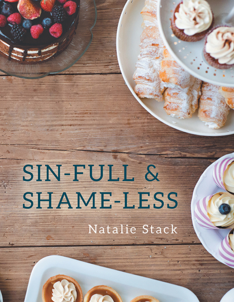 Cover image for book Sin-Full & Shame-Less