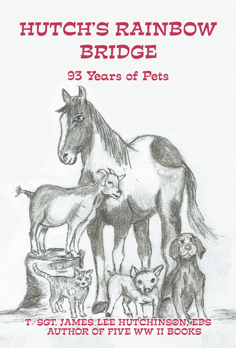 Cover image for book Hutch’s Rainbow Bridge