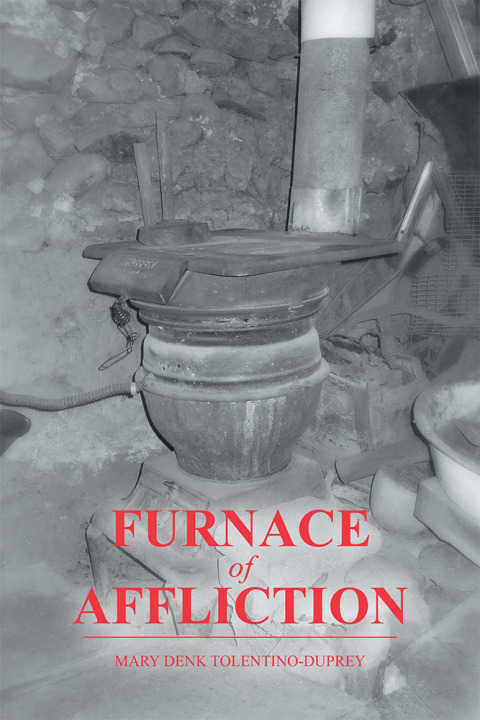 Cover image for book Furnace of Affliction