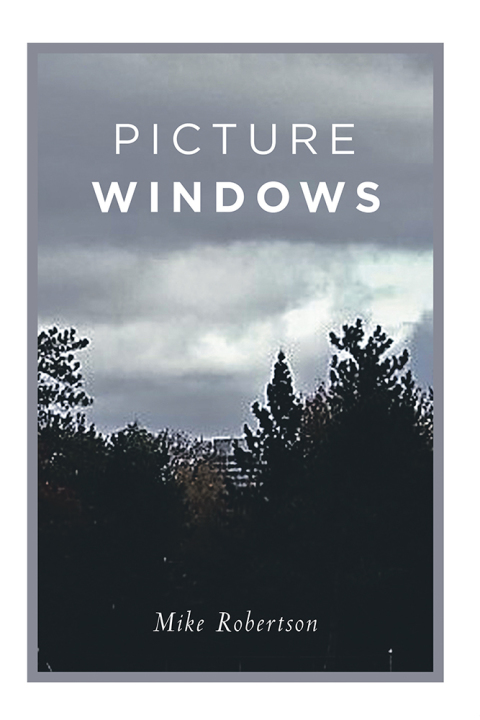 Cover image for book Picture Windows