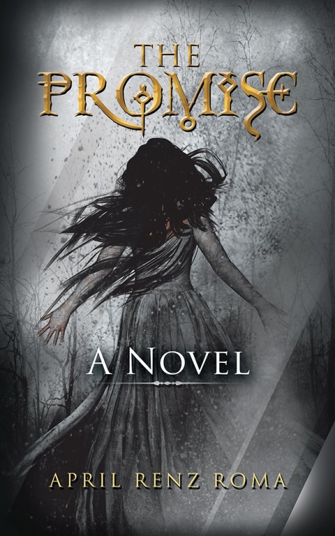 Cover image for book The Promise