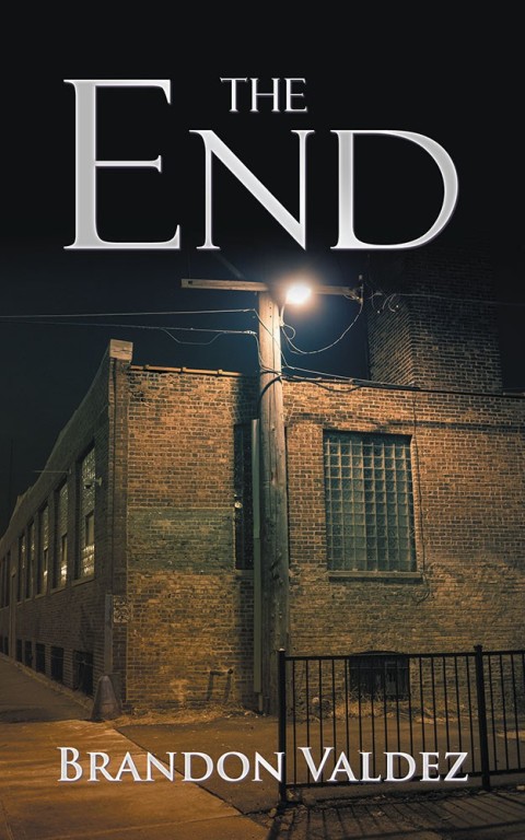 Cover image for book The End