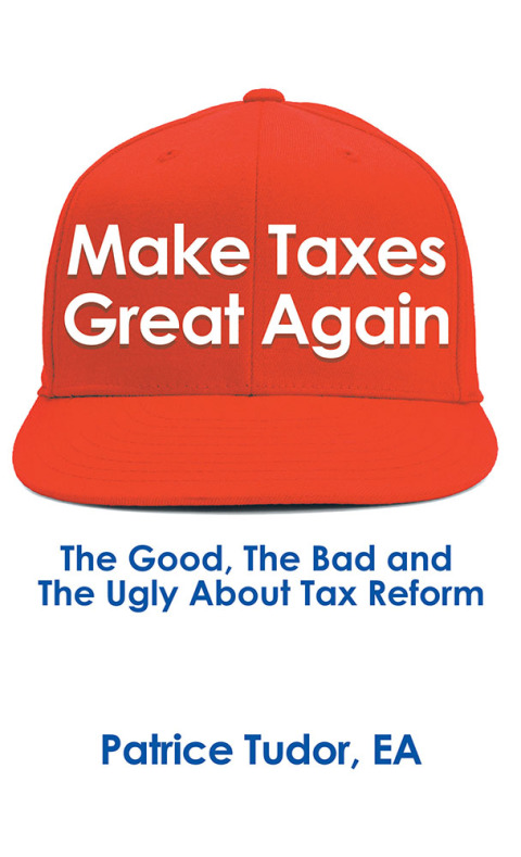 Cover image for book Make Taxes Great Again