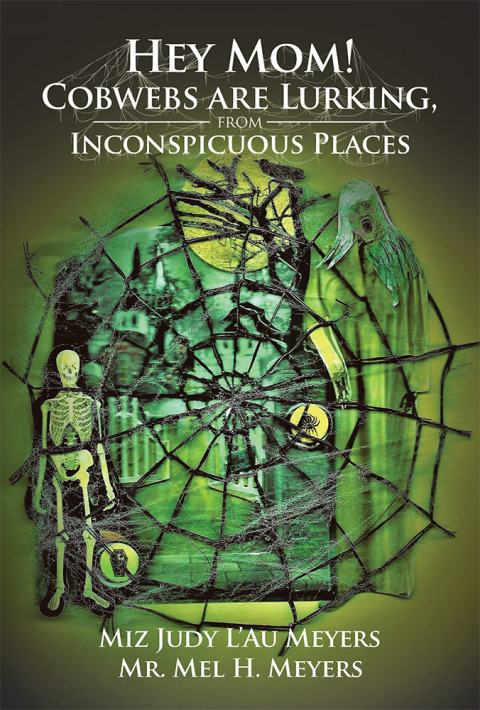 Cover image for book Hey Mom! Cobwebs Are Lurking from Inconspicuous Places