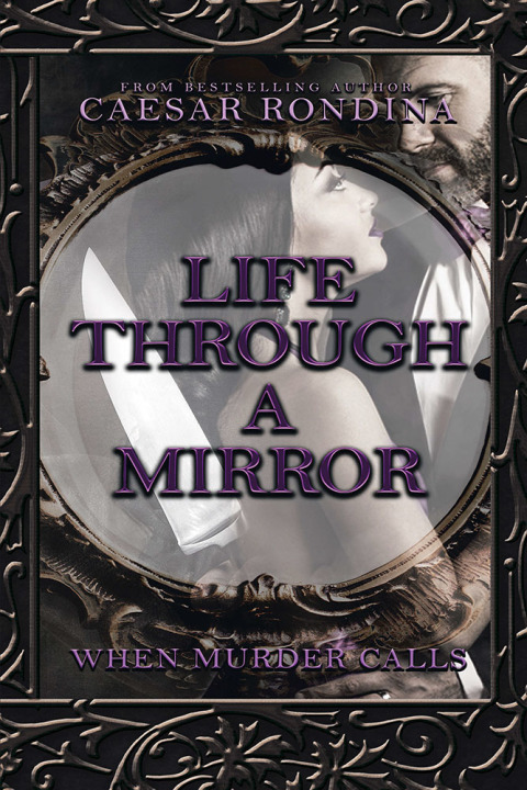 Cover image for book Life Through a Mirror