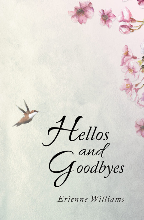Cover image for book Hellos and Goodbyes