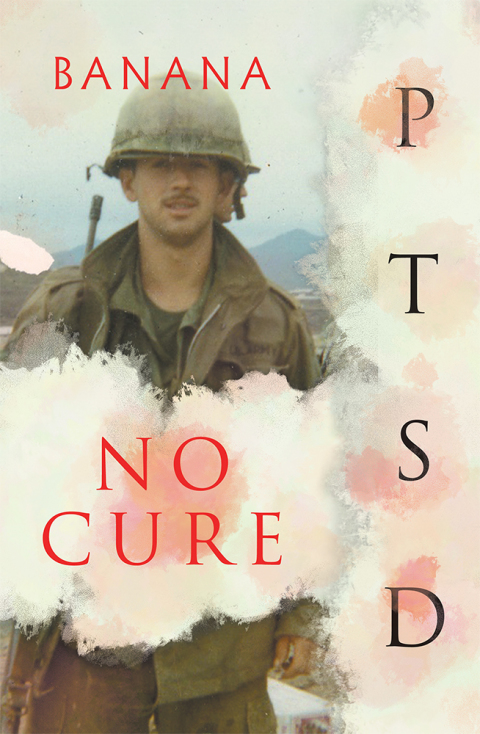 Cover image for book No Cure