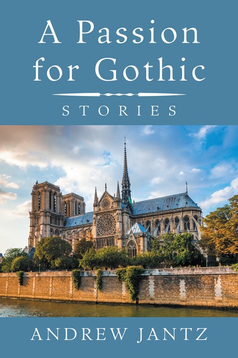 Cover image for book A Passion for Gothic