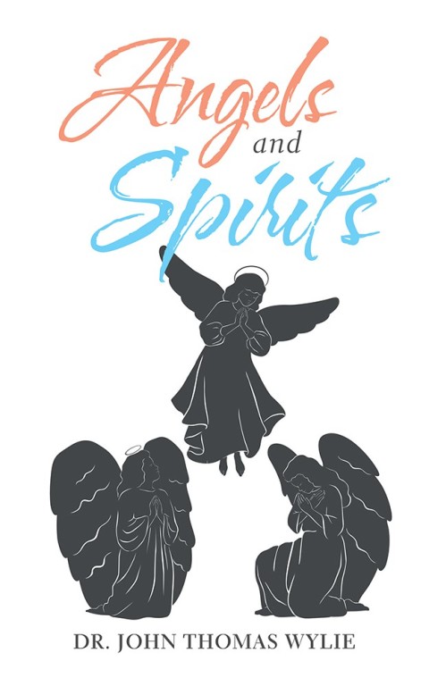 Cover image for book Angels and Spirits