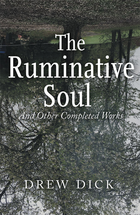 Cover image for book The Ruminative Soul