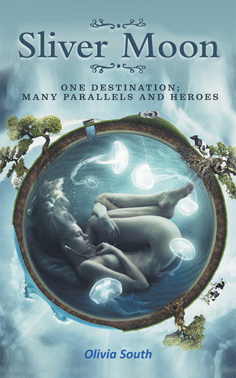 Cover image for book Sliver Moon