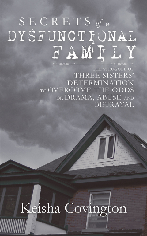 Cover image for book Secrets of a Dysfunctional Family