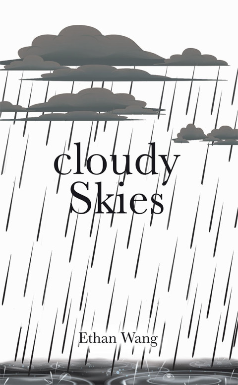 Cover image for book Cloudy Skies