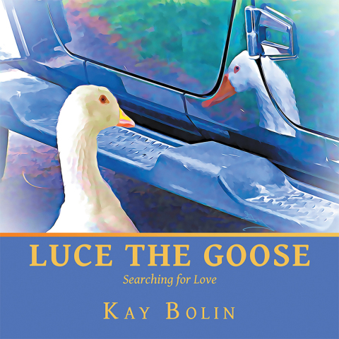 Cover image for book Luce the Goose