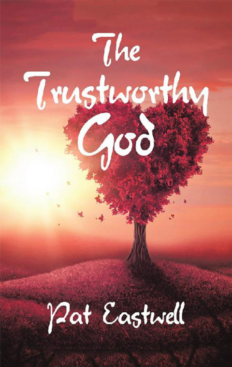 Cover image for book The Trustworthy God