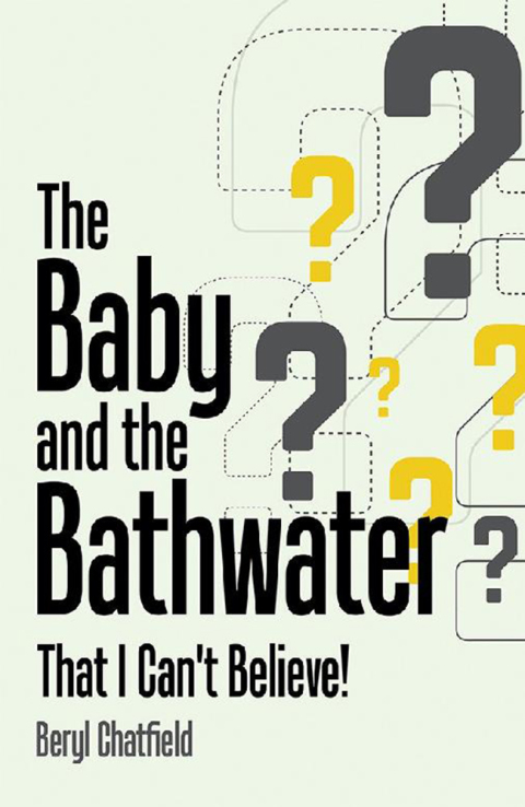 Cover image for book The Baby and the Bathwater