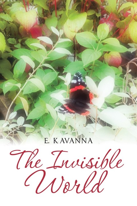 Cover image for book The Invisible World