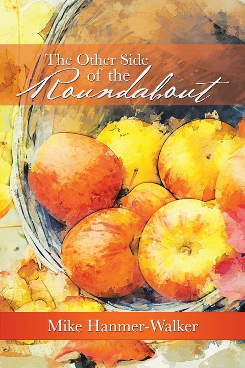Cover image for book The Other Side of the Roundabout