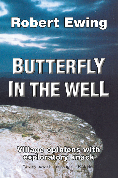 Cover image for book Butterfly in the Well