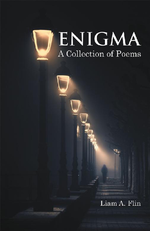 Cover image for book Enigma