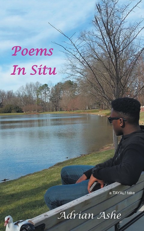 Cover image for book Poems in Situ
