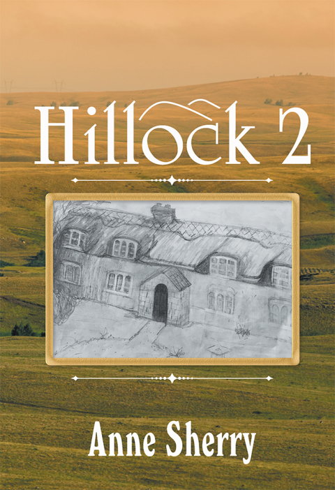 Cover image for book Hillock 2