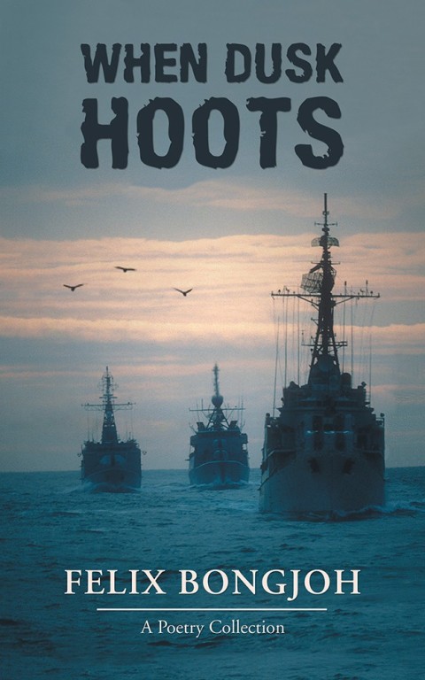 Cover image for book When Dusk Hoots