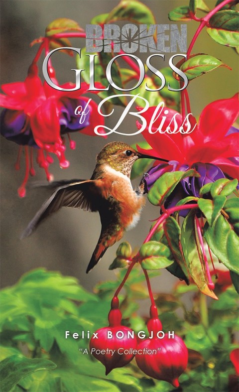 Cover image for book Broken Gloss of Bliss