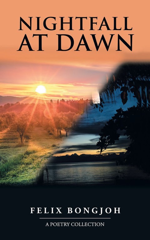 Cover image for book Nightfall at Dawn