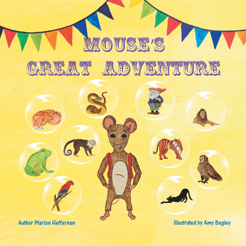 Cover image for book Mouse’s Great Adventure